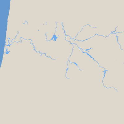 Export Image